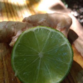Ginger - Lime
